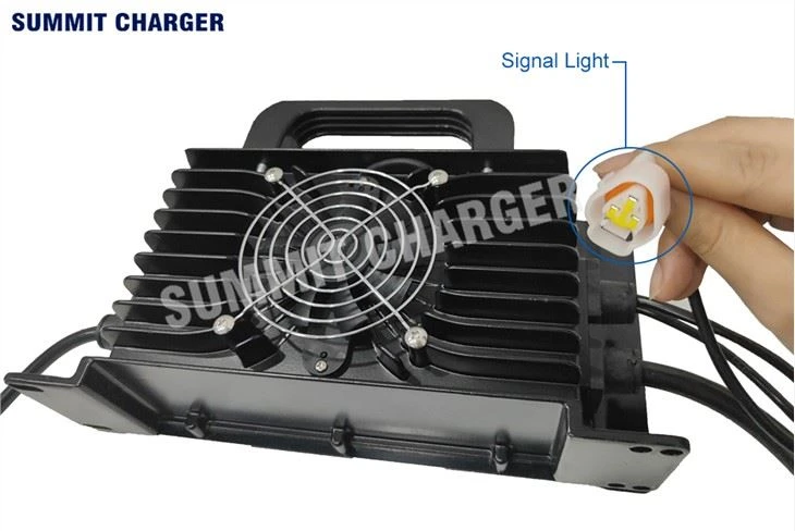 48 Volt Golf Cart Charger