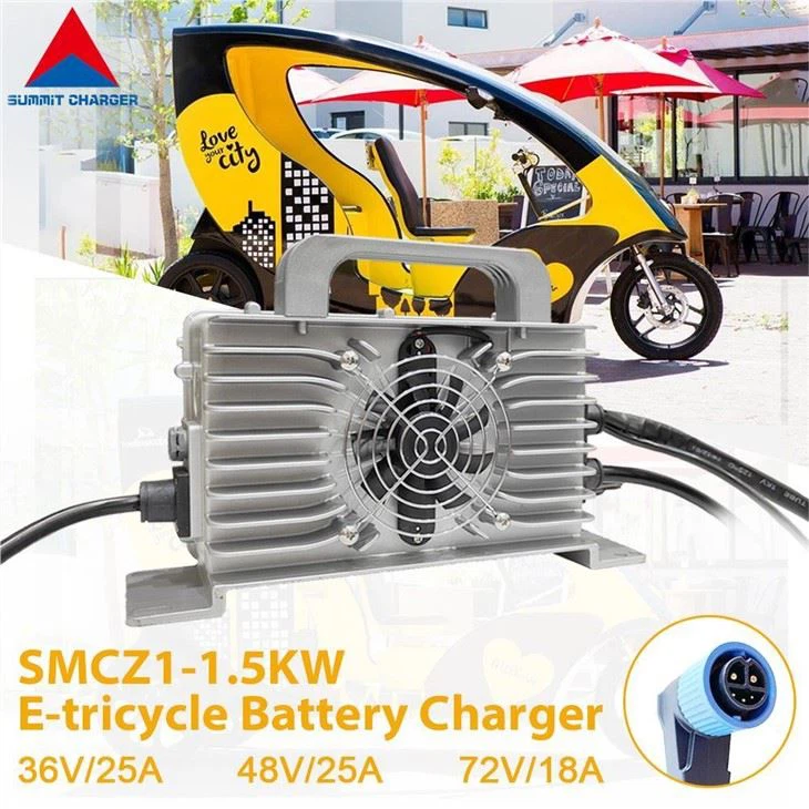 48V E Rickshaw Battery Charger